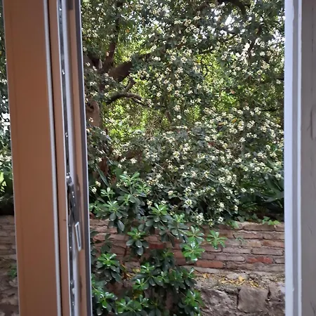 Ella * Ντουμπρόβνικ