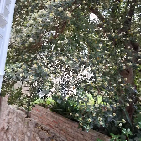 Ella Διαμέρισμα *